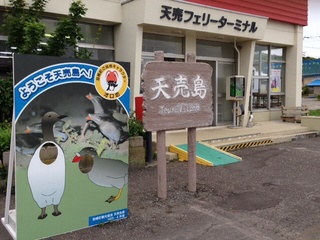 image.jpg