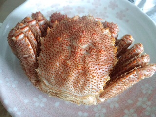 image.jpg
