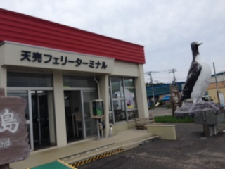 image.jpg